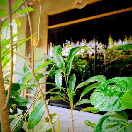 The Ohm Siargao Resort General Luna  Exterior photo