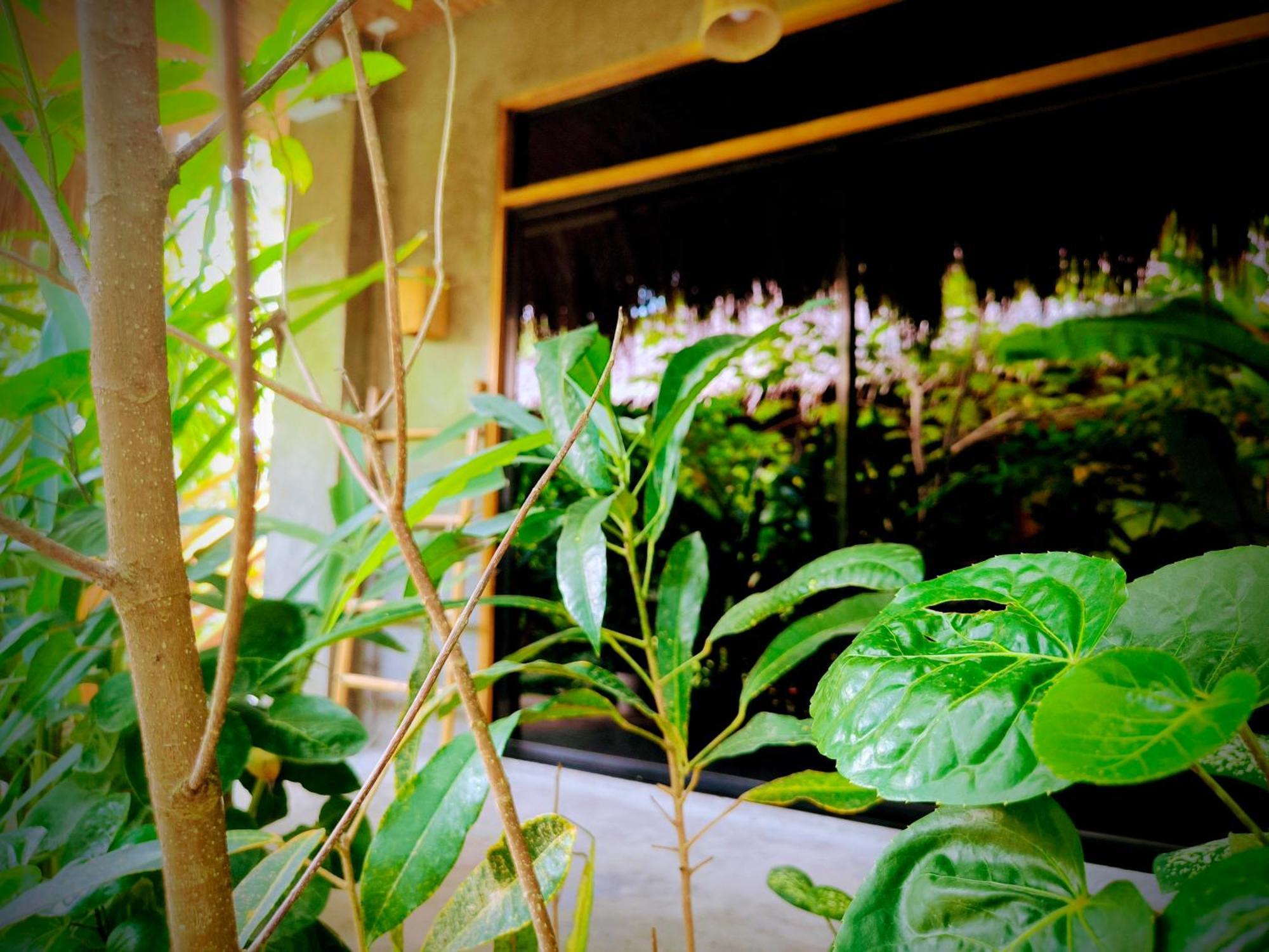 The Ohm Siargao Resort General Luna  Exterior photo